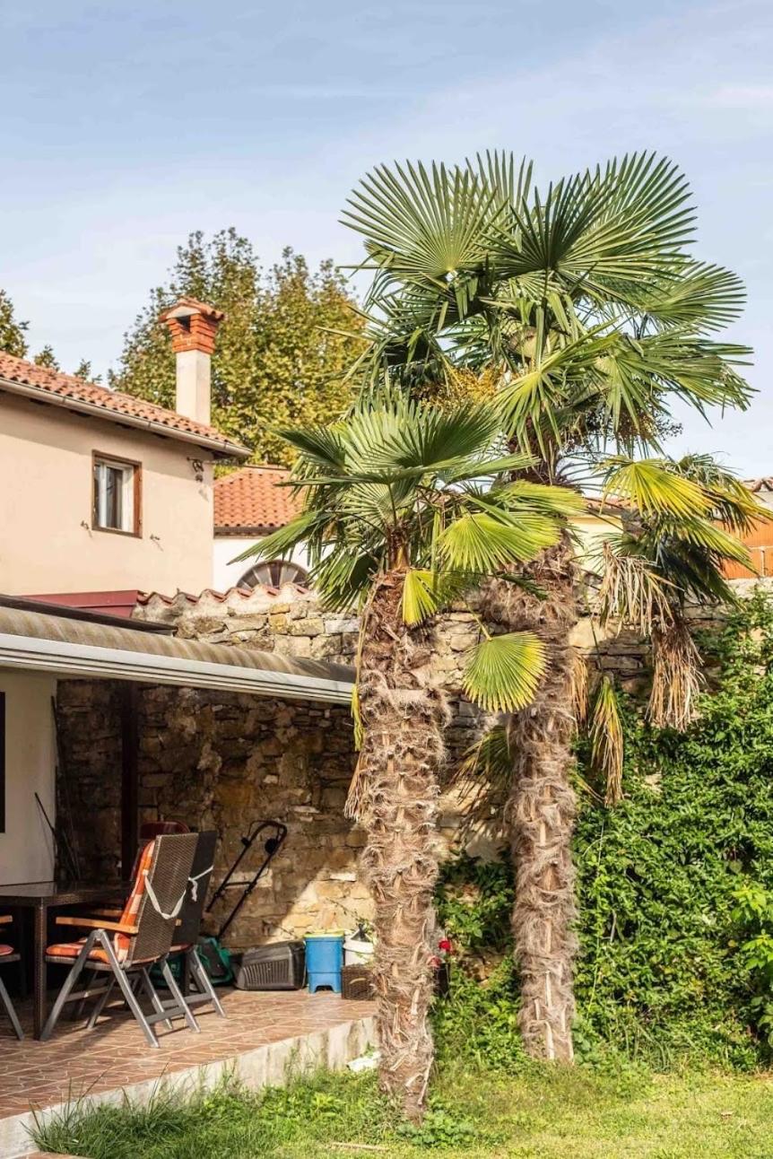 Cozy Corner Apartment Koper Bagian luar foto